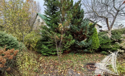 Купить дачу, Брест, Чернавчицкий с/с, 10.49 соток. Фото 25