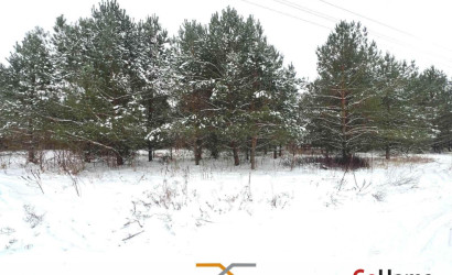 Купить дом в деревне, Сосновый, 15.1 соток. Фото 19