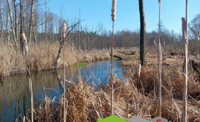 Купить дом, Пруд, 25 соток. Фото 17