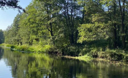 Купить дом в деревне, Зенит-Кардон, 3.96 соток. Фото 5