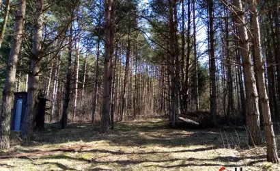  2-этаж.(80 м2), Михалковичи(12)
