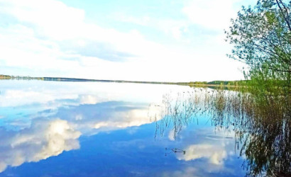 Купить дом, Замостье, Зеленая ул., 15 соток. Фото 16