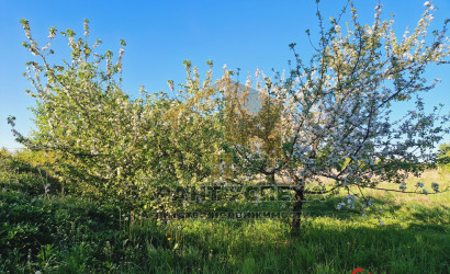 Купить дачу, Бульково, Тельминский с/с, 10 соток. Фото 18