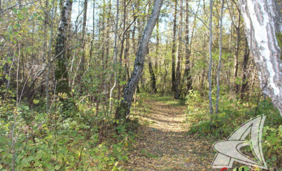 Купить дом, Мухавец, Мухавецкий с/с, 14.95 соток. Фото 27