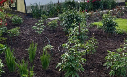 Купить дом в деревне, АЭРОФЛОТ, 6.04 соток. Фото 24