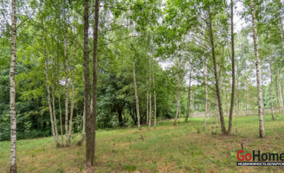 Купить участок, Василевщина, Центральная ул., 12, 22.2 соток. Фото 18
