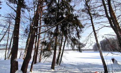 Купить дом, Новополоцк, Озерная ул., 19 соток. Фото 12