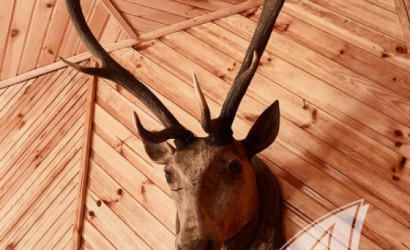 Купить дом, Кошелево, Тельминский с/с, 17.23 соток. Фото 12