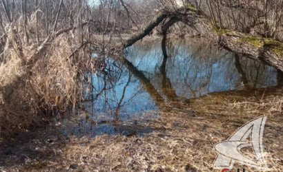 Купить участок, Шумаки, Клейниковский с/с, 25.52 соток. Фото 6