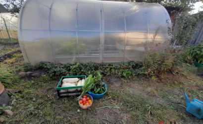 Купить дачу, Электрик-17, 6 соток. Фото 15