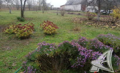 Купить дом, Загородная, Волчинский с/с, 25 соток. Фото 32