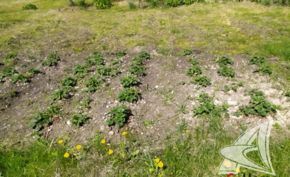 Купить дом в деревне, Старое Роматово, Великоритский с/с, 25 соток. Фото 5