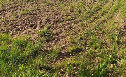 Купить участок, Колядичи, Лазурная ул., 30.51 соток. Фото 5