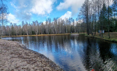 Купить дом, Зеленый Бор, Заводская ул., 21, 10.65 соток. Фото 8