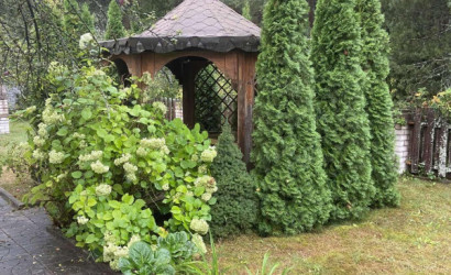 Купить дом в деревне, Дитва, 6.35 соток. Фото 2