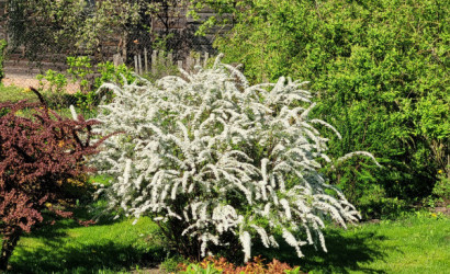 Купить дом, Быхов, ул Куйбышева дом 45, 8 соток. Фото 20