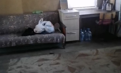 Купить дом, Сарвасы, 9, 15 соток. Фото 8