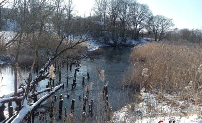 Купить дом, Двор-Гомель, Школьная ул., 6, 25 соток. Фото 10