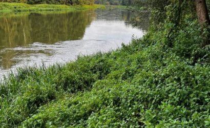 Купить дом, Пильцы, 24 соток. Фото 12