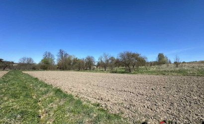 Купить участок, Адамовичи, 57 соток. Фото 5