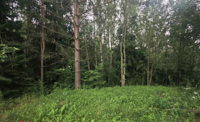 Купить участок, Мончаки, Лесная, 15 соток. Фото 26