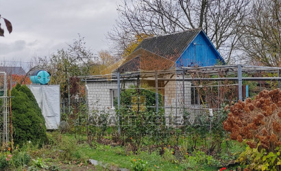 Купить дачу, Малые Щитники, Мотыкальский с/с, 6.12 соток. Фото 1