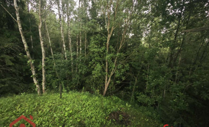 Купить участок, Мончаки, Лесная, 15 соток. Фото 4
