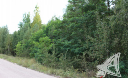 Купить участок, Брест, Бернады, 38.78 соток. Фото 8