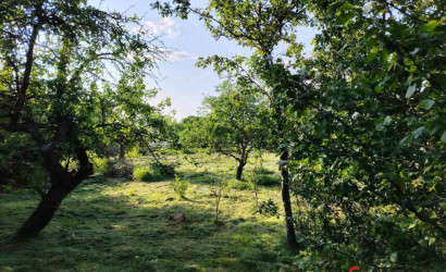 Купить дом, Чемери 1, 50 соток. Фото 9