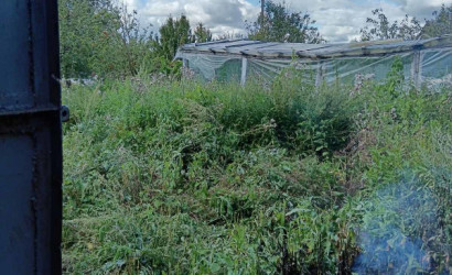 Купить дачу, Краево, 10.5 соток. Фото 10