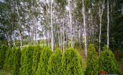 Купить 4-комнатную квартиру, Минск, Ратомская ул., 26 (Центральный район). Фото 31