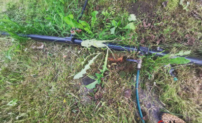 Купить дачу, Витебск, 2-й Каменный, 6.13 соток. Фото 7