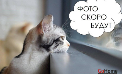 Купить 4-комнатную квартиру, Минск, Слободская ул., 31 (Московский район). Фото 3