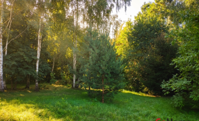 Купить дом, Брест, Генерала Тимофеева, 10 соток. Фото 7