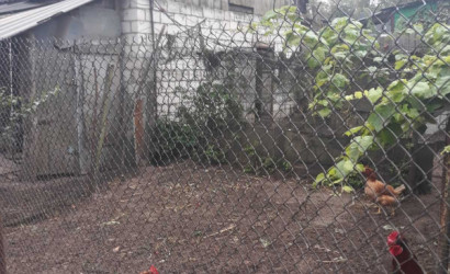 Купить дом, Гомель, Быховская,51. Гомельская обл. город Гомель, Белоруссия, 7.82 соток. Фото 5