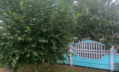 Купить дом в деревне, Летковщина, Зеленая, 10 соток. Фото 5