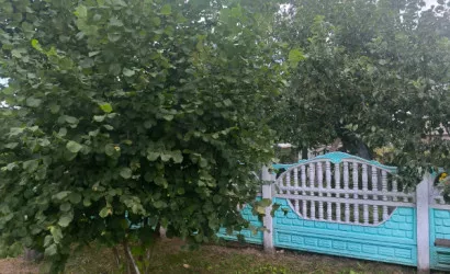  1-этаж.(83.9 м2), Летковщина(Зеленая)