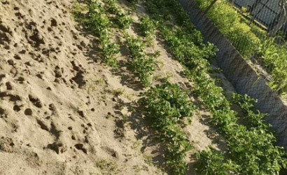 Купить участок, Леснянка, 5.38 соток. Фото 6