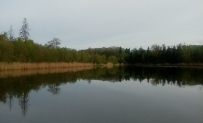 Снять на сутки дом, Альба, Полевая 6. Фото 6