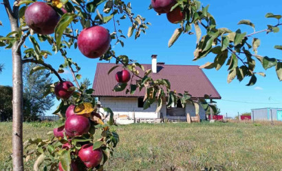 Купить дом, Дудичи, Полевая ул., 15 соток. Фото 3