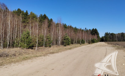 Купить дом, Каменица-Жировецкая, Мухавецкий с/с, 25 соток. Фото 8