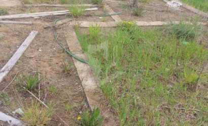 Купить дом, Жилевщина, 43 соток. Фото 22