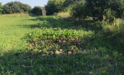 Купить участок, Поварчицы, Майская , 10 соток. Фото 4