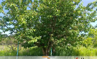  2-этаж.(111.5 м2), Войровка(Луговая ул.)