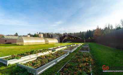 Купить дом, Тресковщина, Щорса, 26/А, 20 соток. Фото 6