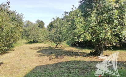 Купить дом, Вистычи, Чернавчицкий с/с, 25 соток. Фото 16