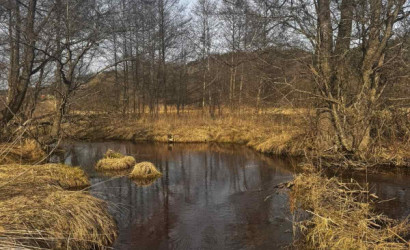 Купить дом, Вяча, Центральная ул., 31, 20 соток. Фото 34