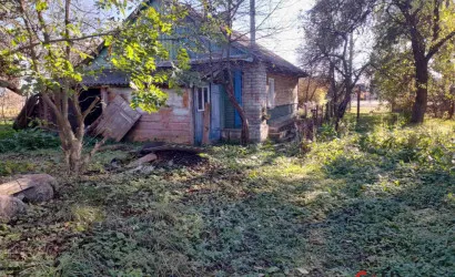  1-этаж.(60 м2), Пограничный(Советская)