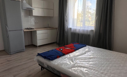 Снять 1-комнатную квартиру, Лесковка, Лесная. Фото 6