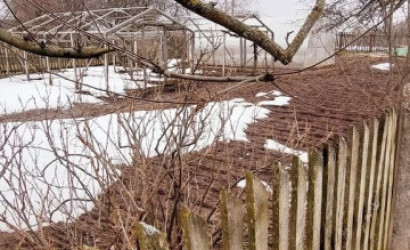 Купить дом, Витебск, Новосенненская, 19, 24.95 соток. Фото 19